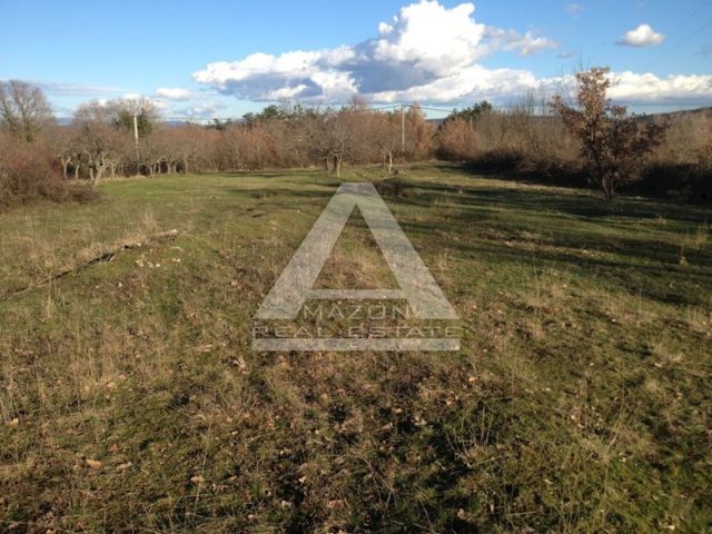 Działka na sprzedaż 10328 m² – Grožnjan