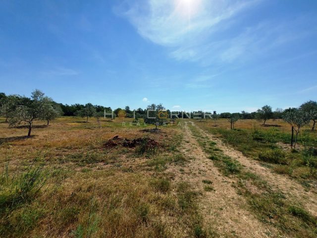 Zemljište na prodaju 9900 m² – Vodnjan