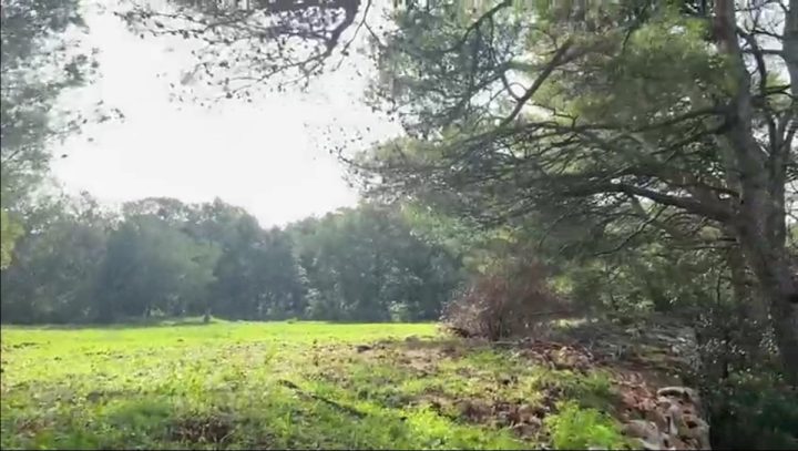 Terrain à vendre 719 m² – Silba
