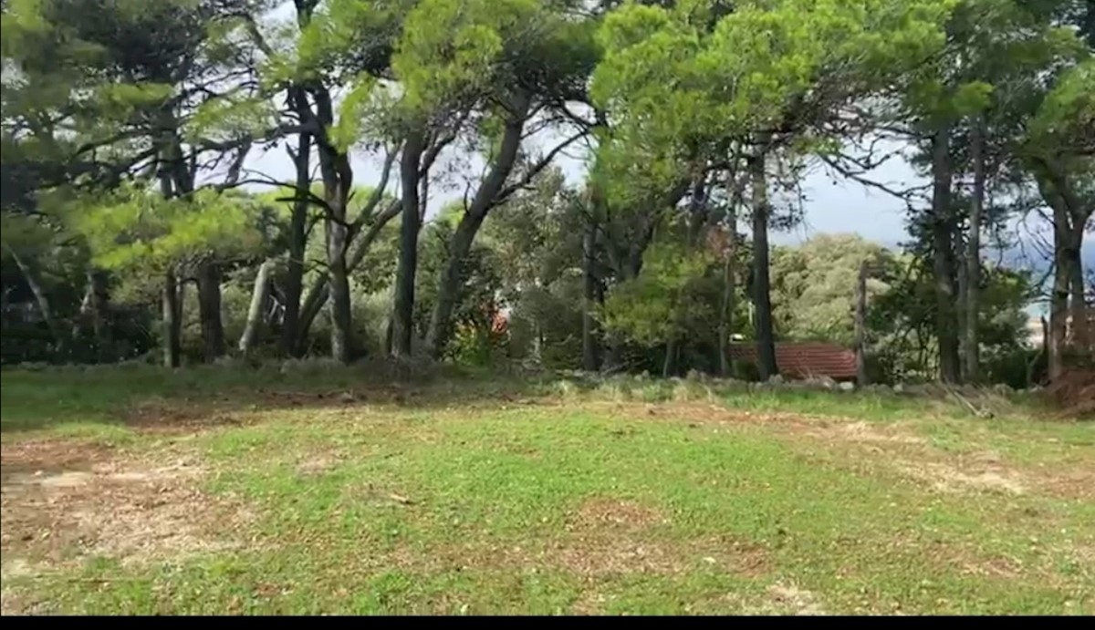 Land For sale - ZADARSKA  ZADAR 