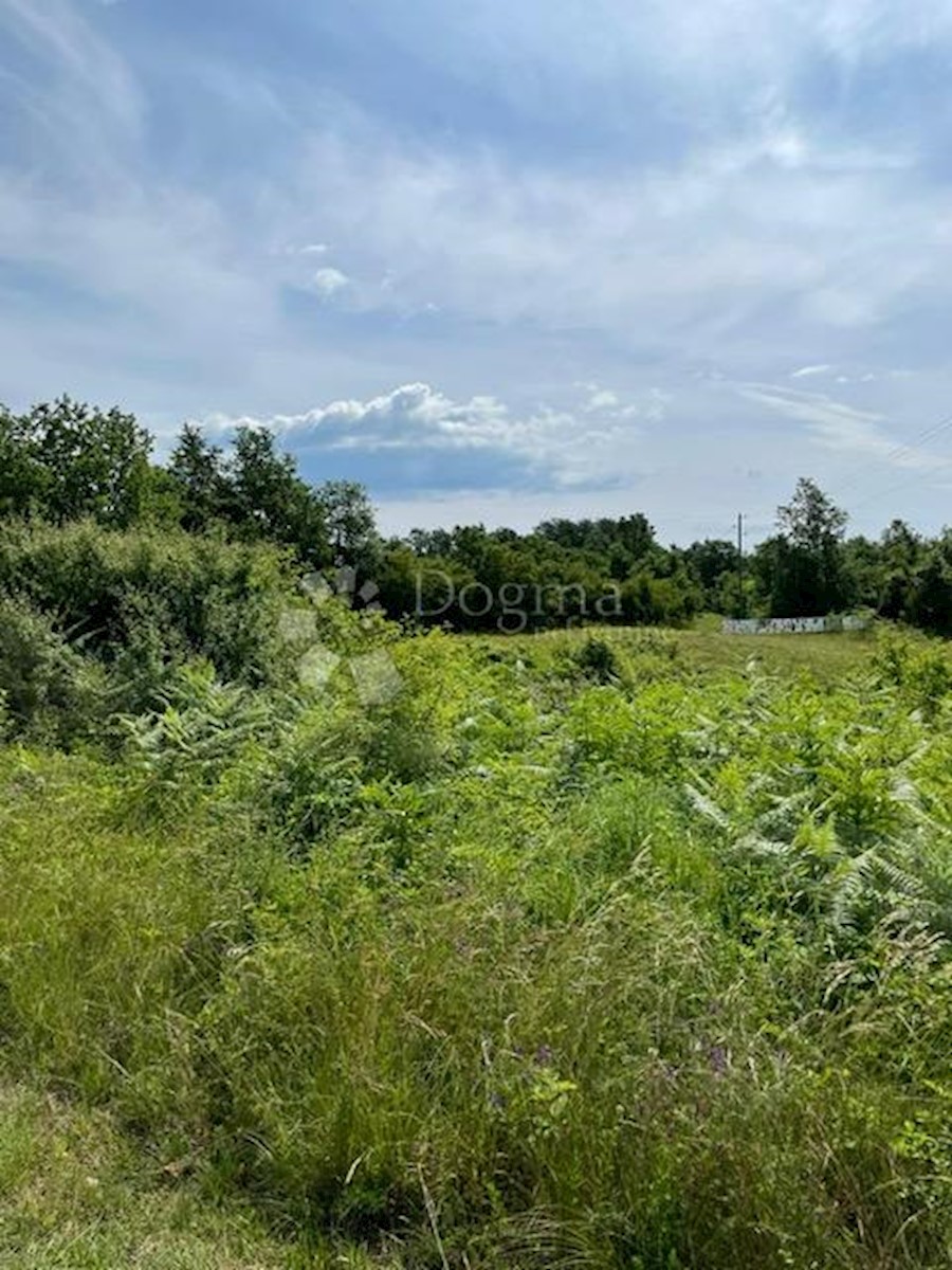 Parcela Naprodaj - ISTARSKA  Barban