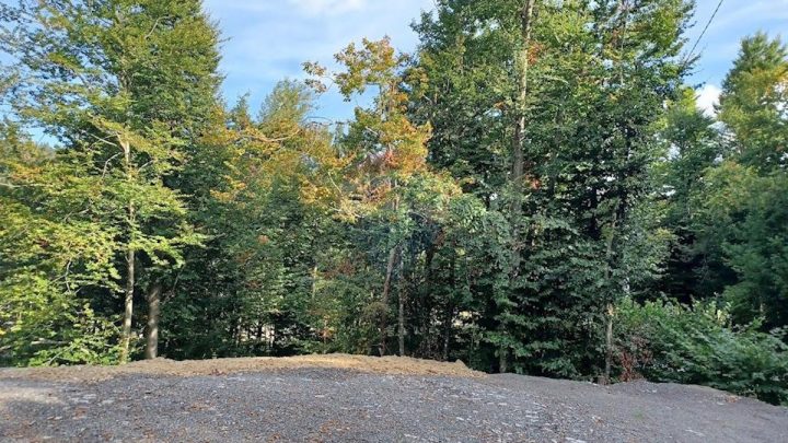 Pozemok na predaj 4000 m² – Slavica