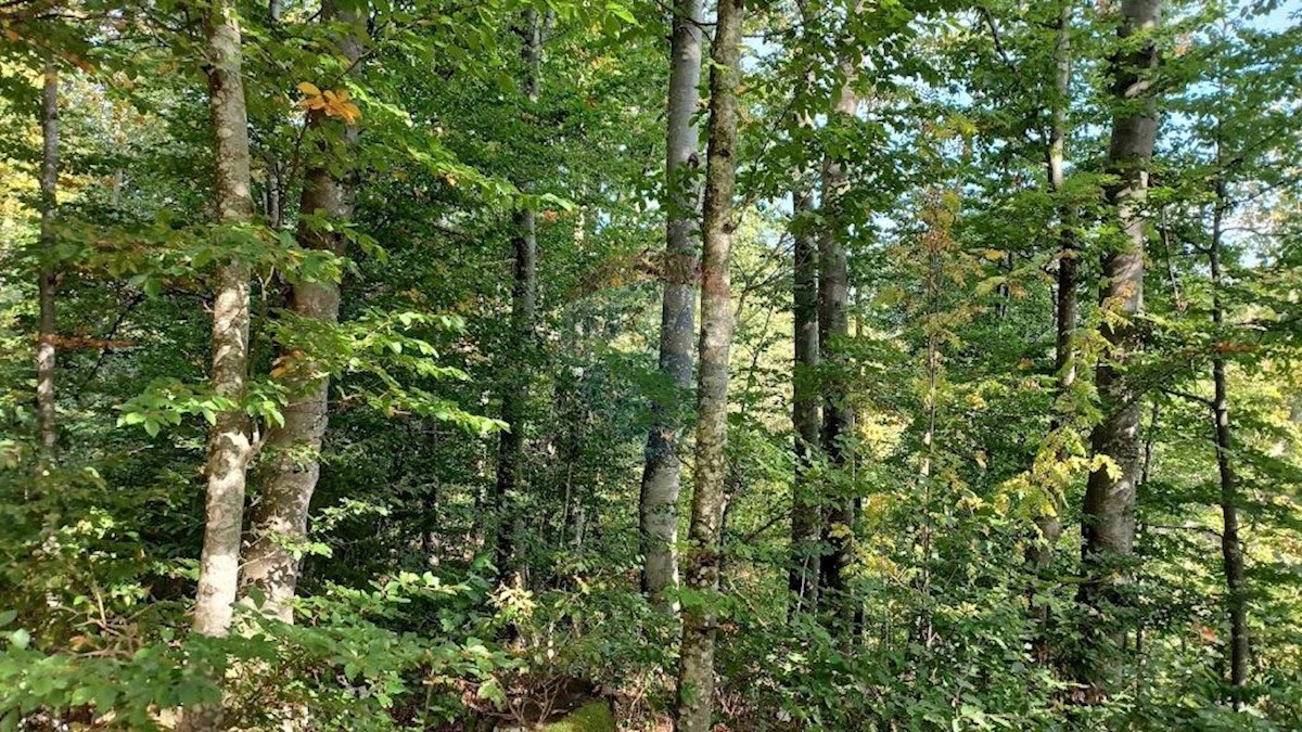 Parcela Naprodaj - PRIMORSKO-GORANSKA  Fužine
