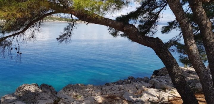 Land For sale - Splitsko-dalmatinska Hvar - foto 3/6