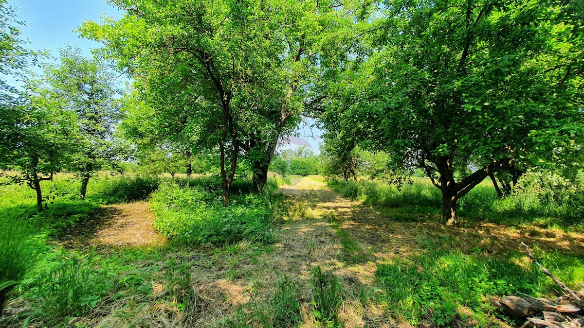 Land For sale - ZAGREBAČKA  BRDOVEC 