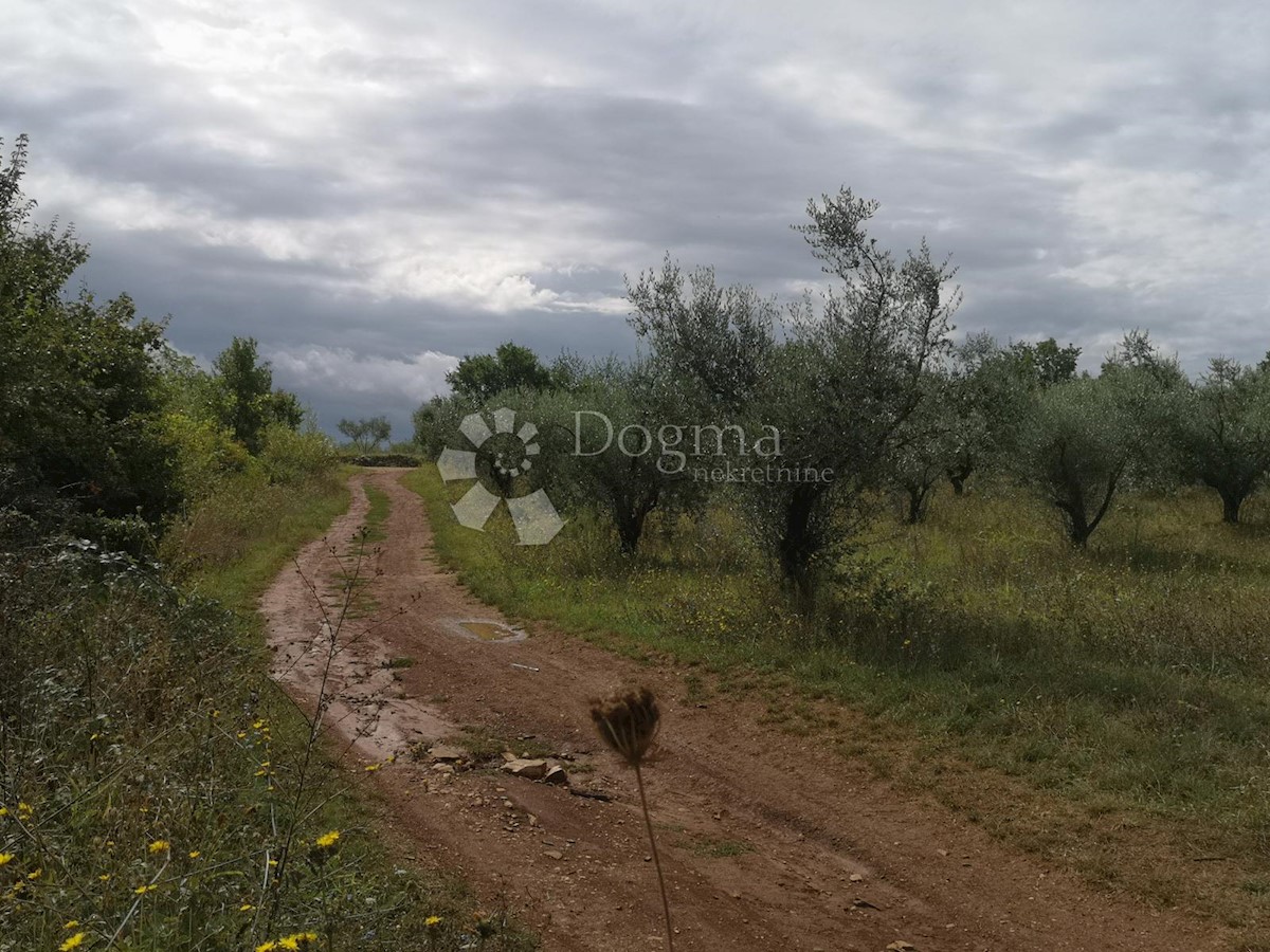 Terreno In vendita - ISTARSKA  POREČ 