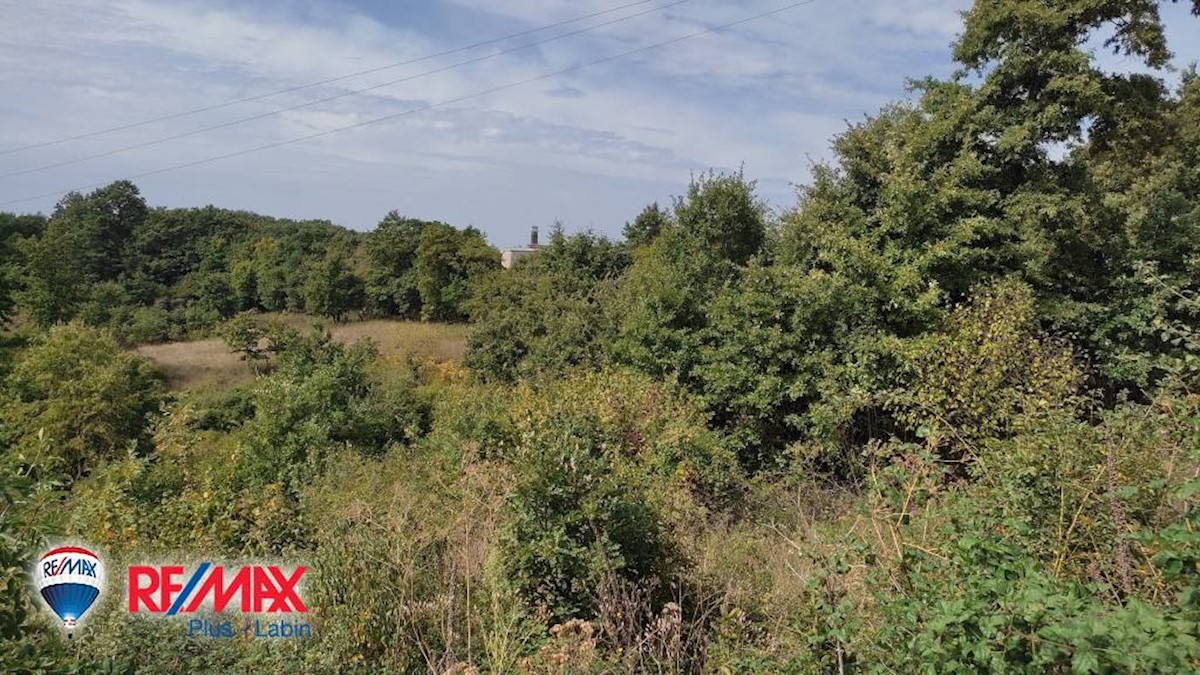 Land For sale - ISTARSKA  SVETI PETAR U ŠUMI 