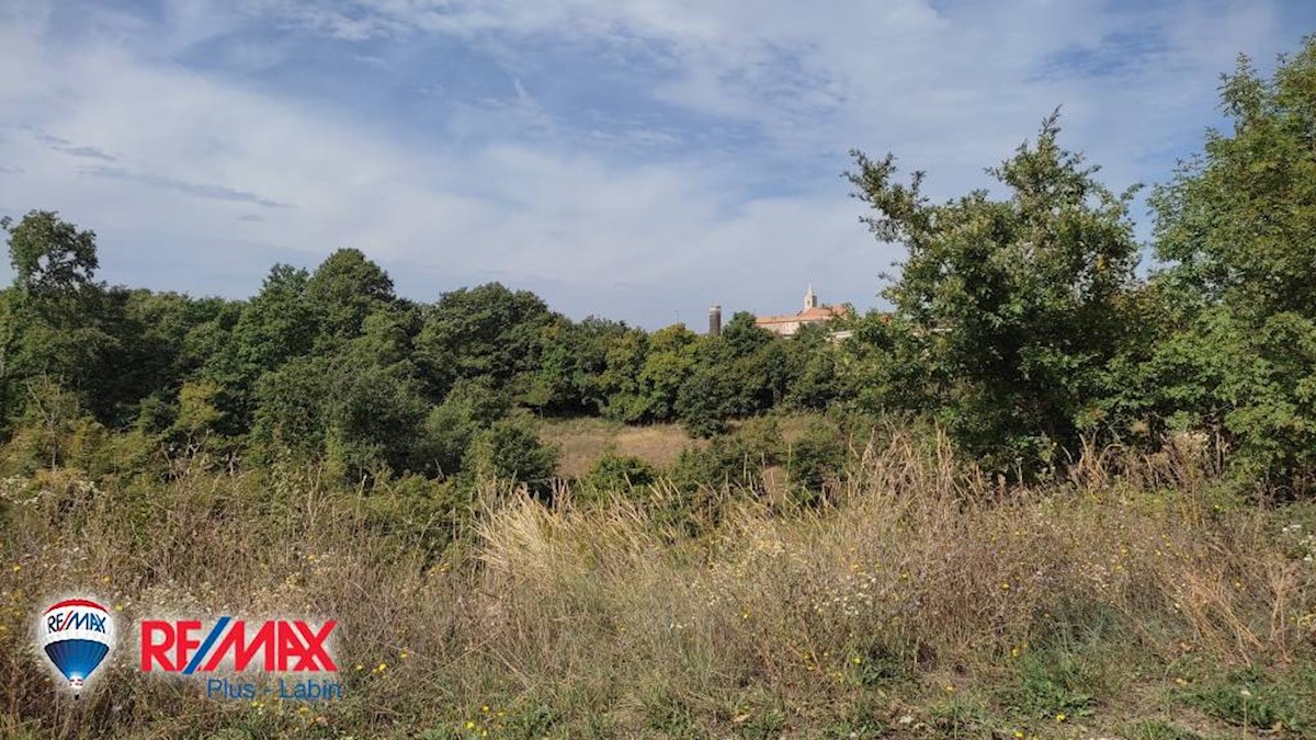 Land For sale - ISTARSKA  SVETI PETAR U ŠUMI 