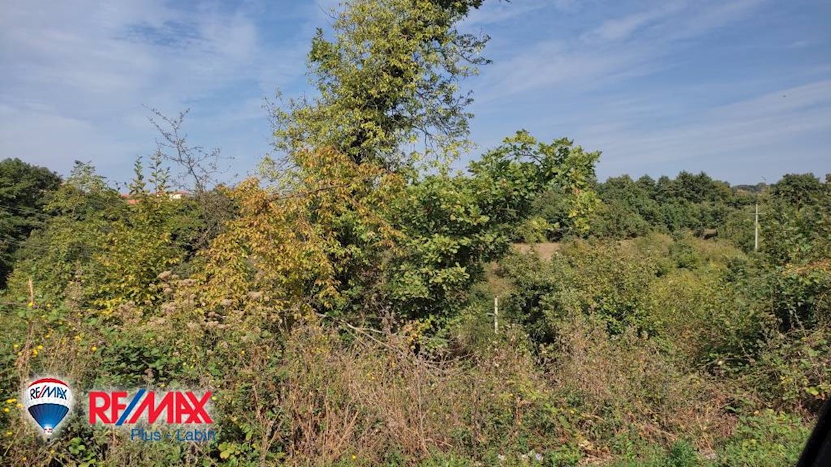 Land For sale - ISTARSKA  SVETI PETAR U ŠUMI 