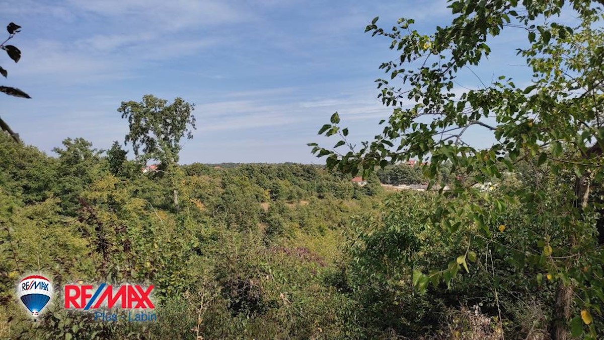 Land For sale - ISTARSKA  SVETI PETAR U ŠUMI 