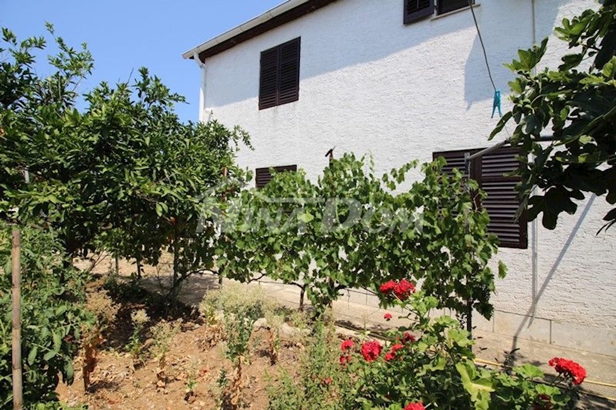 House For sale - ZADARSKA  VIR 