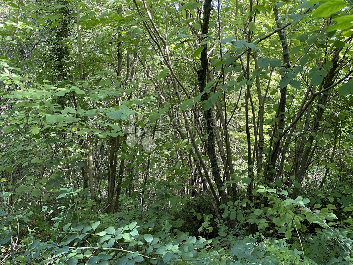 Grundstück Zu verkaufen - Primorsko-goranska Matulji - foto 2/2