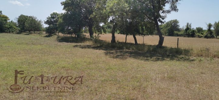 Land For sale - Zadarska Nin - foto 2/14