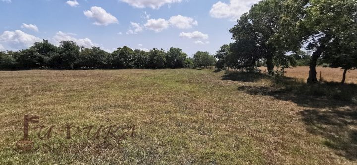 Land For sale - Zadarska Nin - foto 3/14