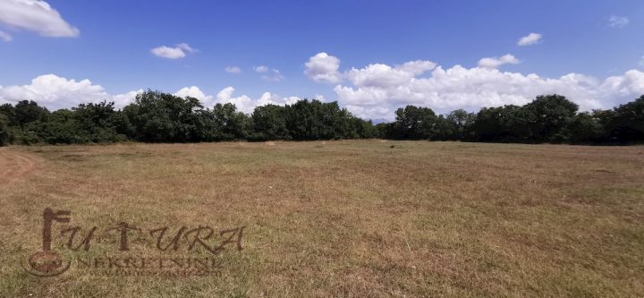 Land For sale - Zadarska Nin - foto 5/14