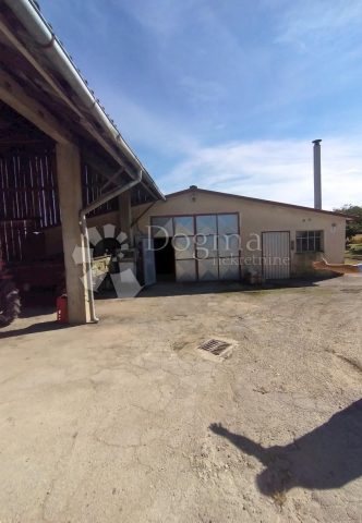 Komerční na prodej 6500 m² – Jalžabet