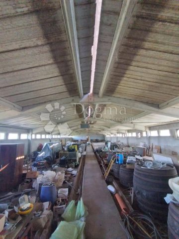 Business premises For sale - Varaždinska Jalžabet - foto 4/6