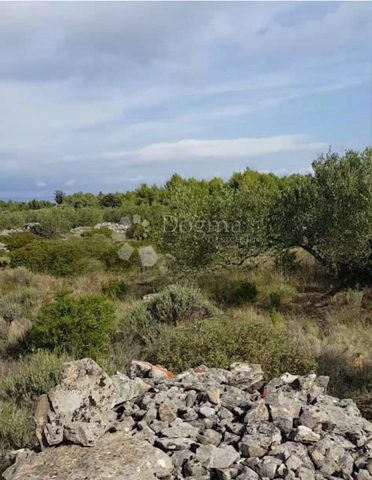 Parcela na predaj 5148 m² – Zastražišće