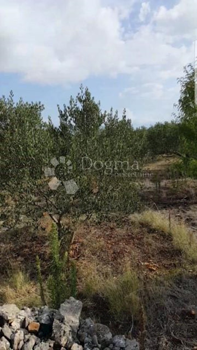 Land For sale - SPLITSKO-DALMATINSKA  HVAR 