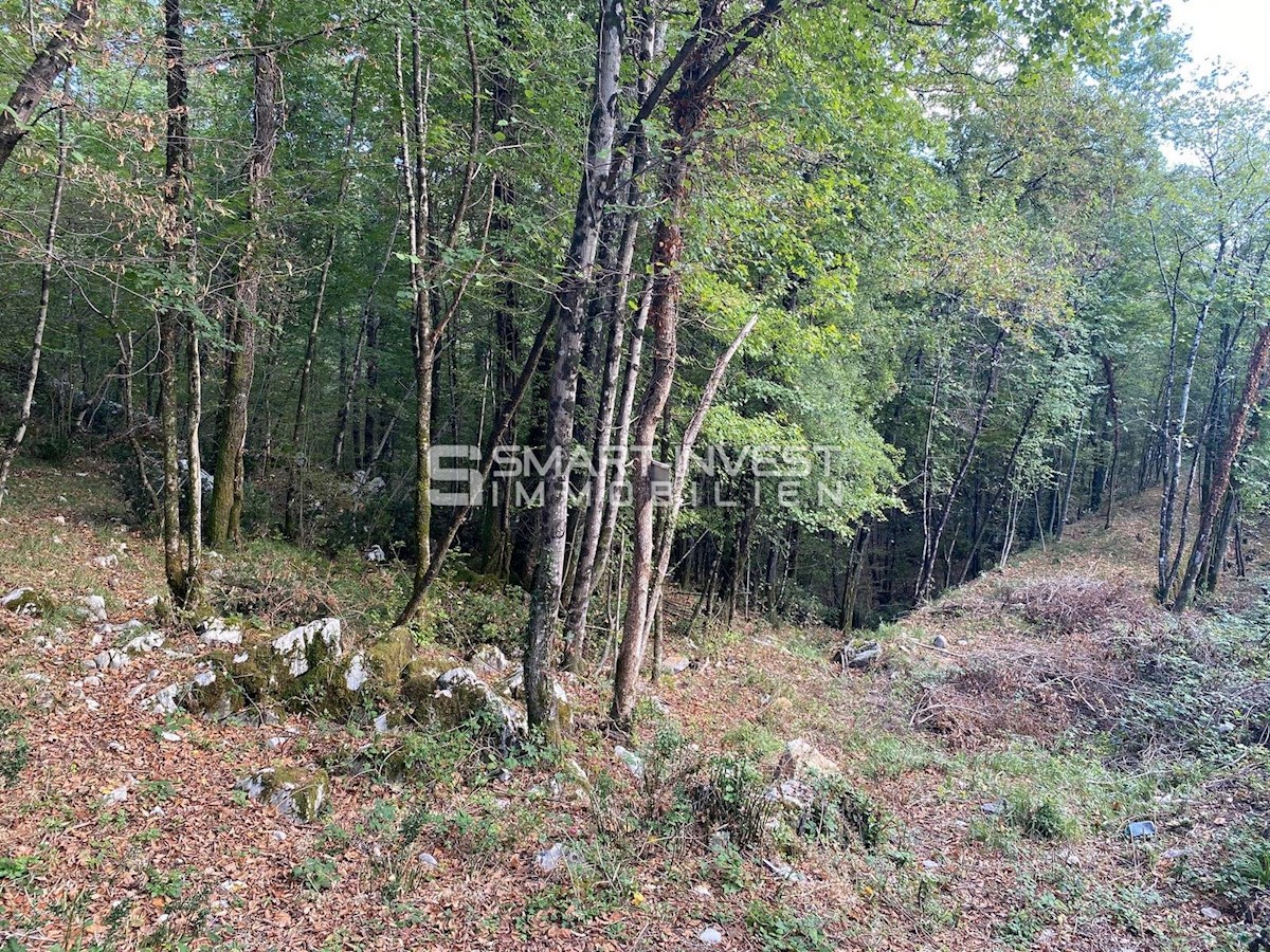 Zemljište Na prodaju - PRIMORSKO-GORANSKA  MATULJI 