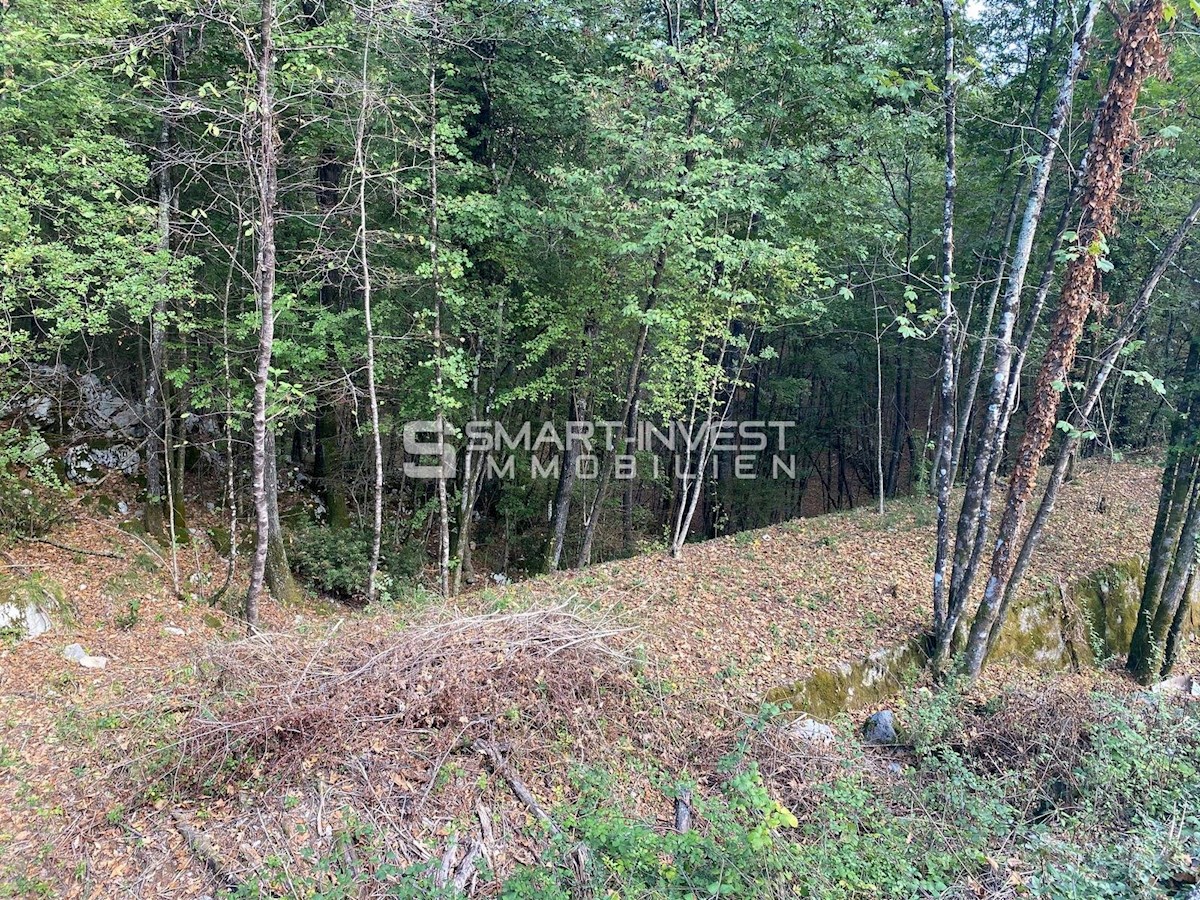 Land For sale - PRIMORSKO-GORANSKA  MATULJI 