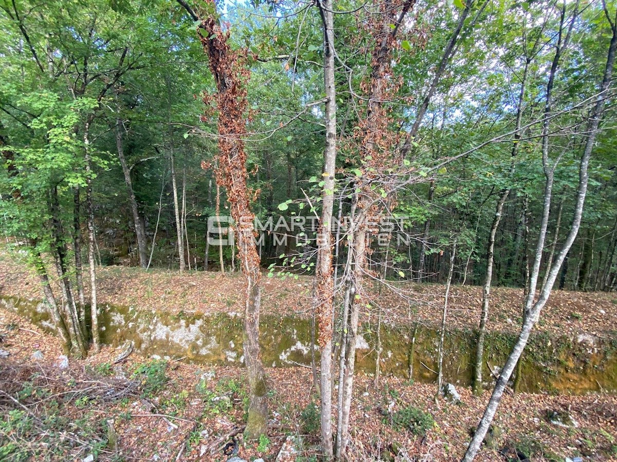 Terreno In vendita - PRIMORSKO-GORANSKA  MATULJI 