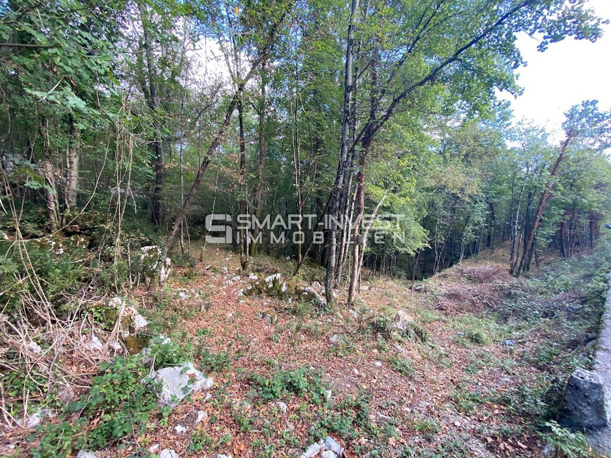 Land For sale - PRIMORSKO-GORANSKA  MATULJI 