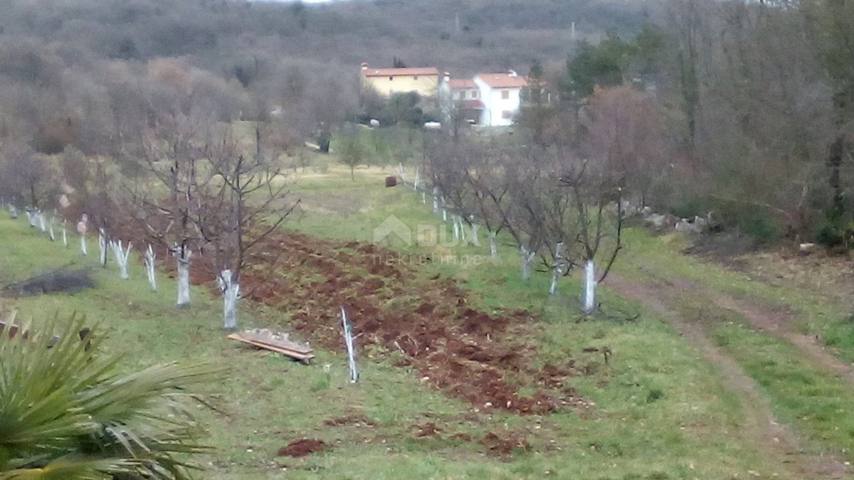 Dom Na predaj - ISTARSKA  LABIN 