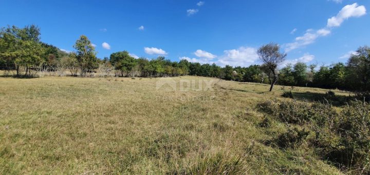 Parcela na predaj 2340 m² – Grožnjan