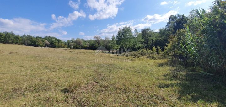 Zemljište Na prodaju - Istarska Grožnjan - foto 4/16