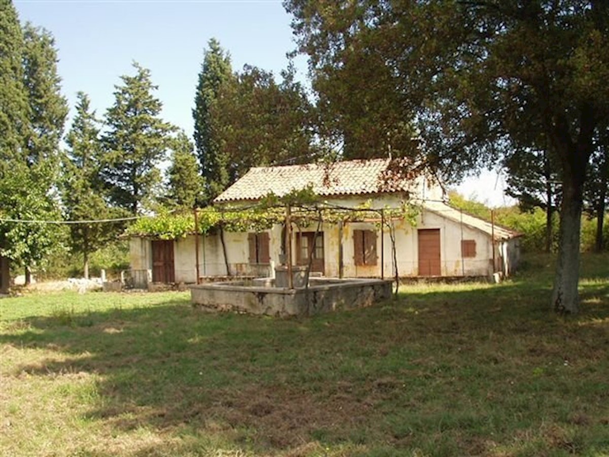 Land For sale - ISTARSKA  BARBAN 