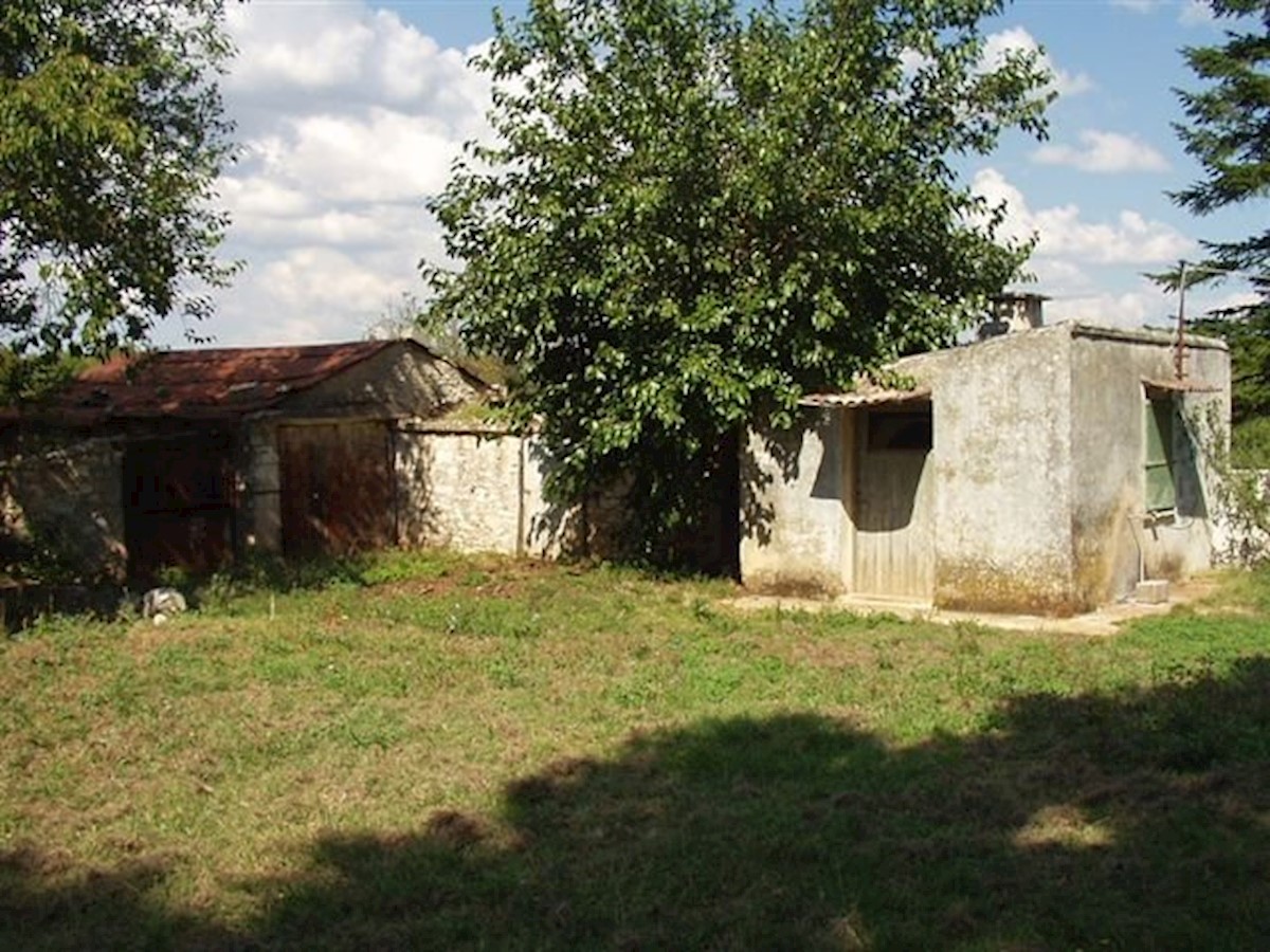 Land For sale - ISTARSKA  BARBAN 