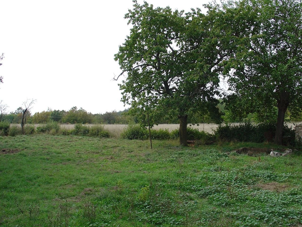 Land For sale - ISTARSKA  BARBAN 