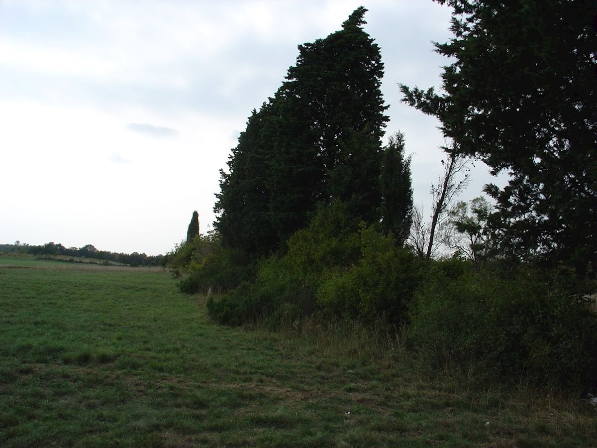 Land For sale - ISTARSKA  BARBAN 