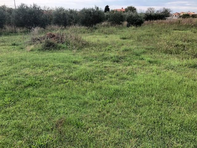 Parcela na predaj 980 m² – Pomer