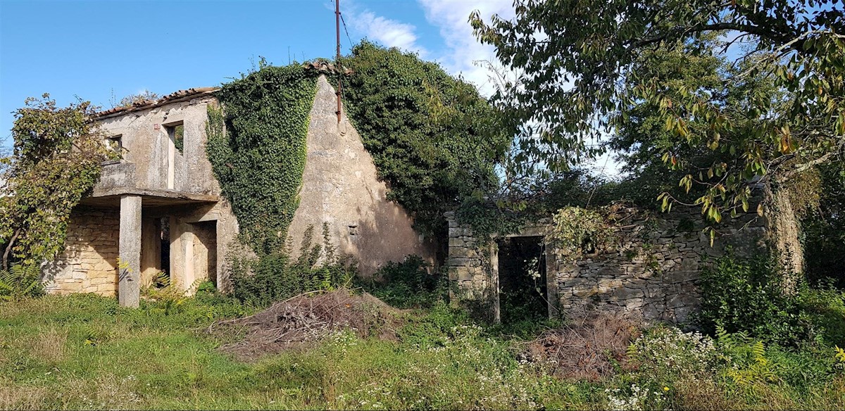 Dom Na predaj - ISTARSKA  GRAČIŠĆE 