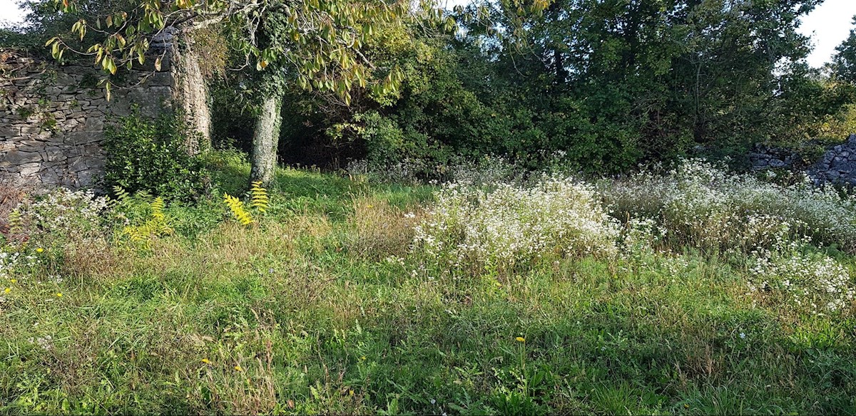 Dom Na predaj - ISTARSKA  GRAČIŠĆE 