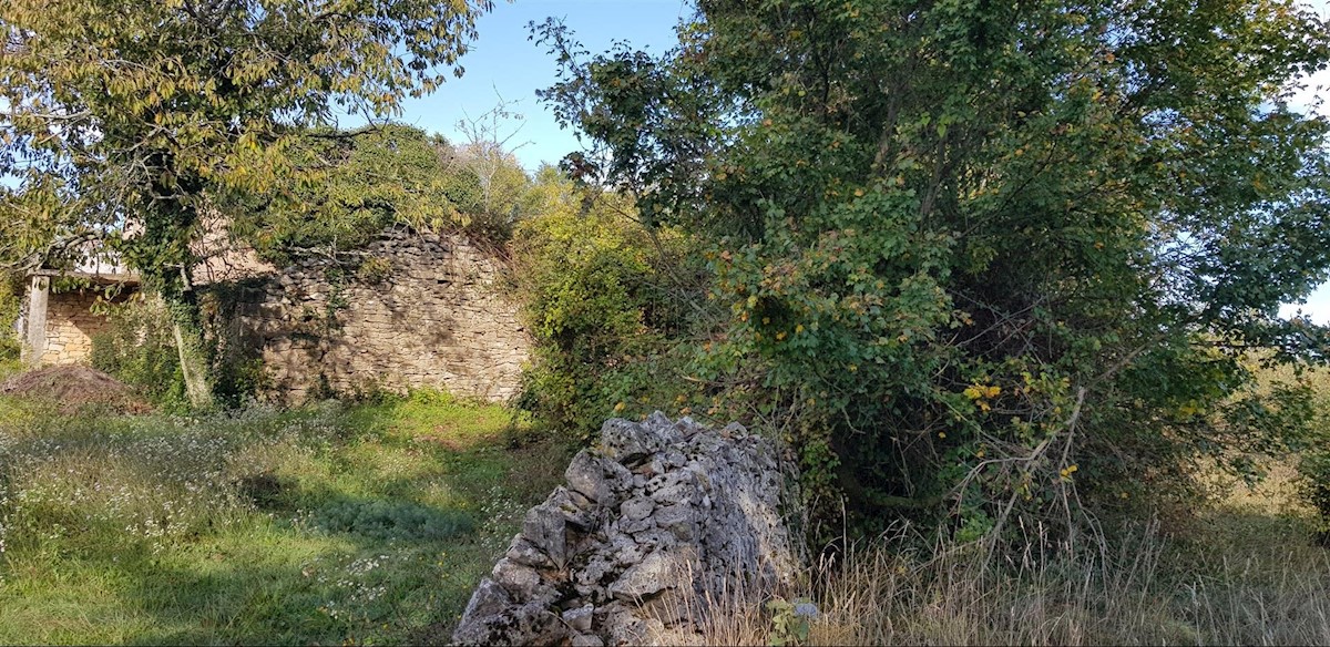 Dom Na predaj - ISTARSKA  GRAČIŠĆE 