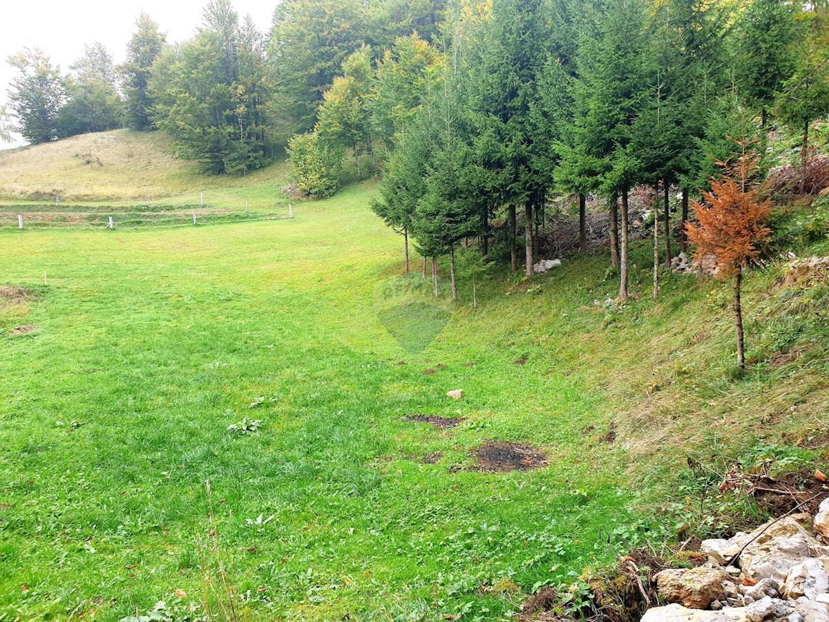 Land For sale - PRIMORSKO-GORANSKA  RAVNA GORA 