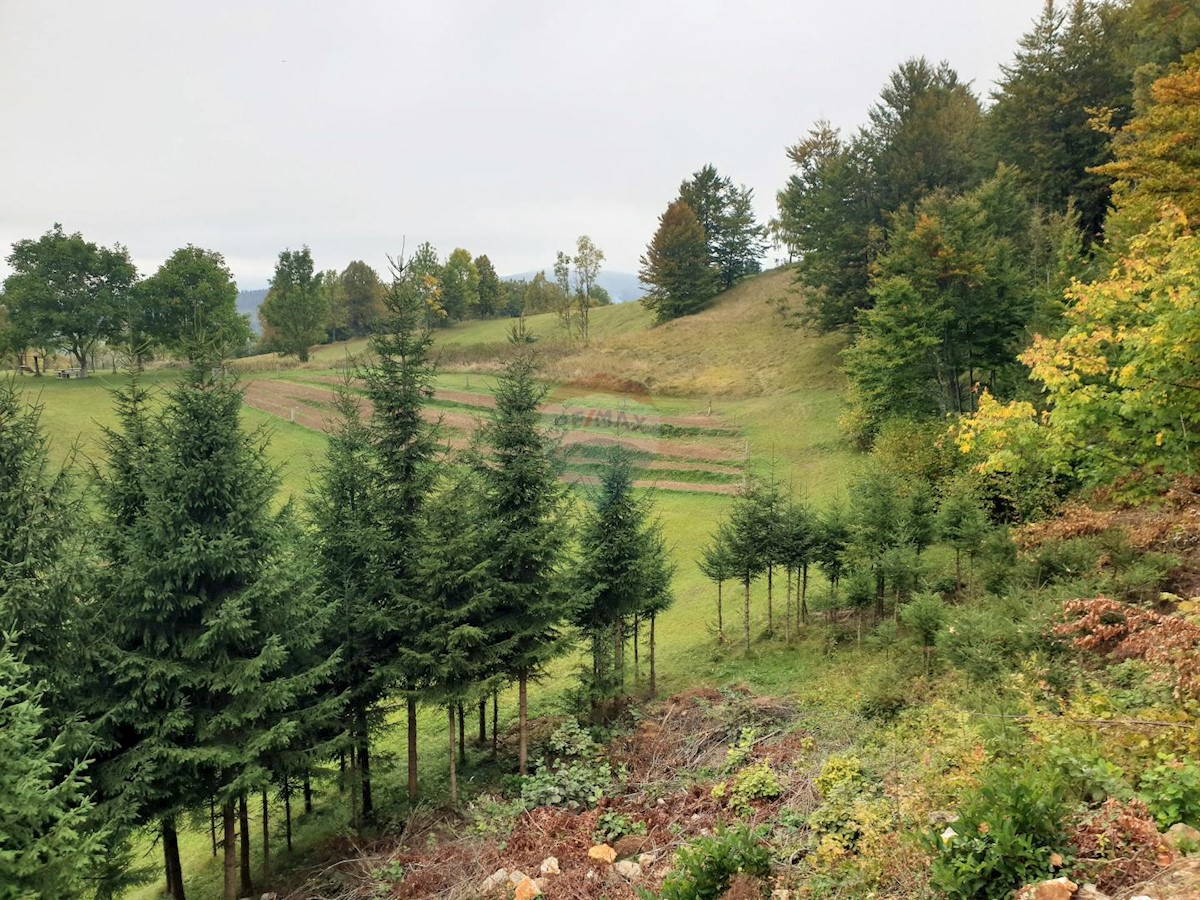 Terreno In vendita - PRIMORSKO-GORANSKA  RAVNA GORA 