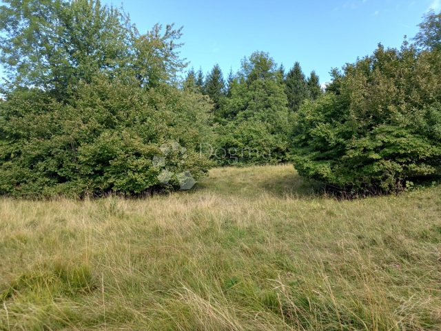 Land for sale 5366 m² – Gomirje