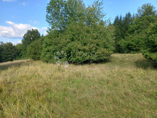 Parcela Naprodaj - Primorsko-goranska Vrbovsko - foto 5/11
