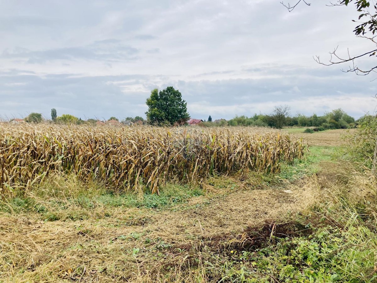 Land For sale - ZAGREBAČKA  VELIKA GORICA 