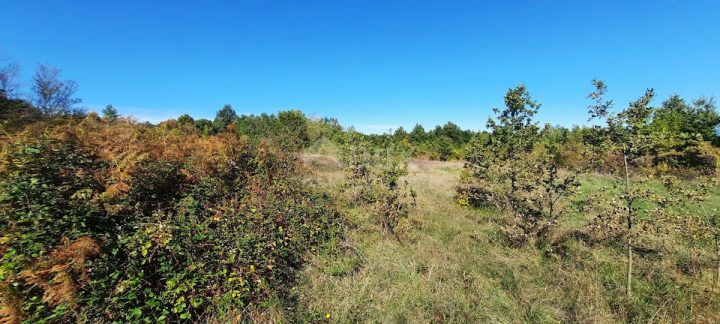 Terrain à vendre 5167 m² – Barban