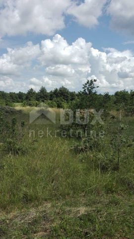 Grundstück Zu verkaufen - Istarska Barban - foto 2/6