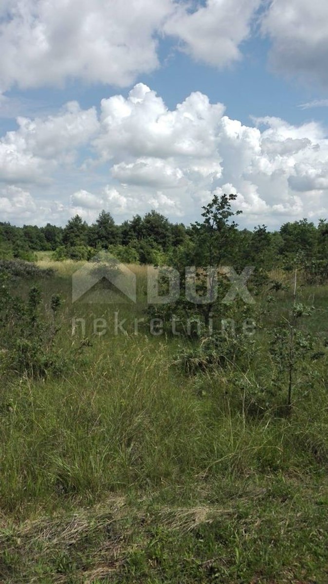 Terrain À vendre - Istarska Barban - foto 2/6