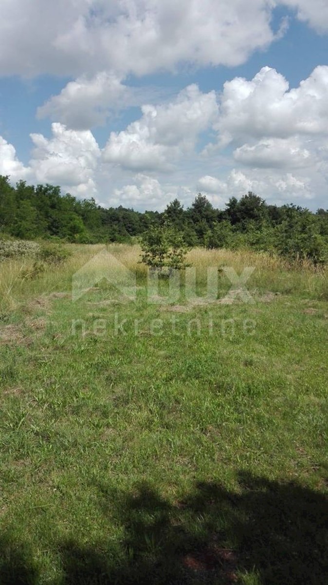 Terrain À vendre - Istarska Barban - foto 3/6