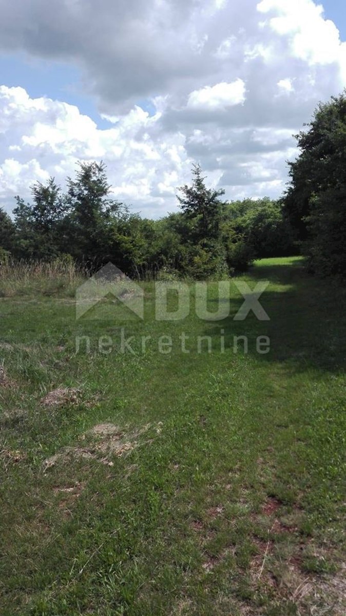 Terrain À vendre - Istarska Barban - foto 4/6