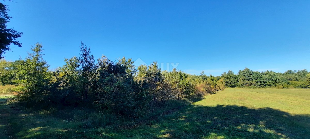 Terreno In vendita - ISTARSKA  Barban