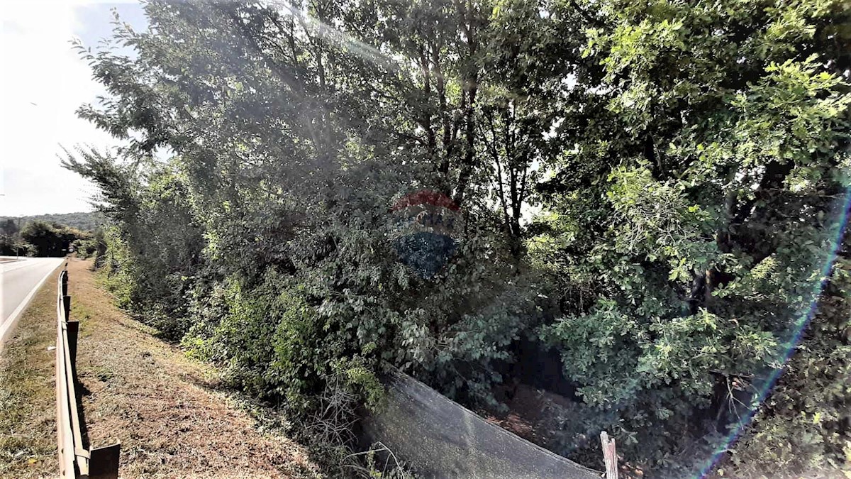 Land For sale - ISTARSKA  Karojba